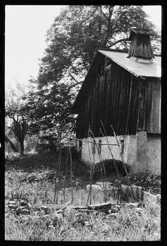 photographie Potager Ph.1979.10.379 Photo