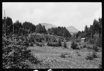 photographie Chalet d'alpage Ph.1979.10.384 Photo