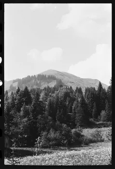 photographie Chalet d'alpage Ph.1979.10.385 Photo