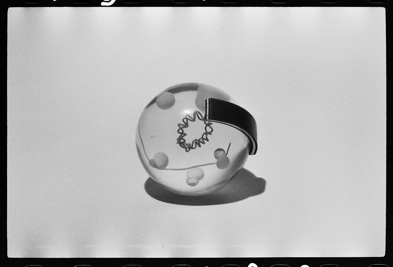 photographie Modèle de cellule primitive Ph.1979.4.102 Photo