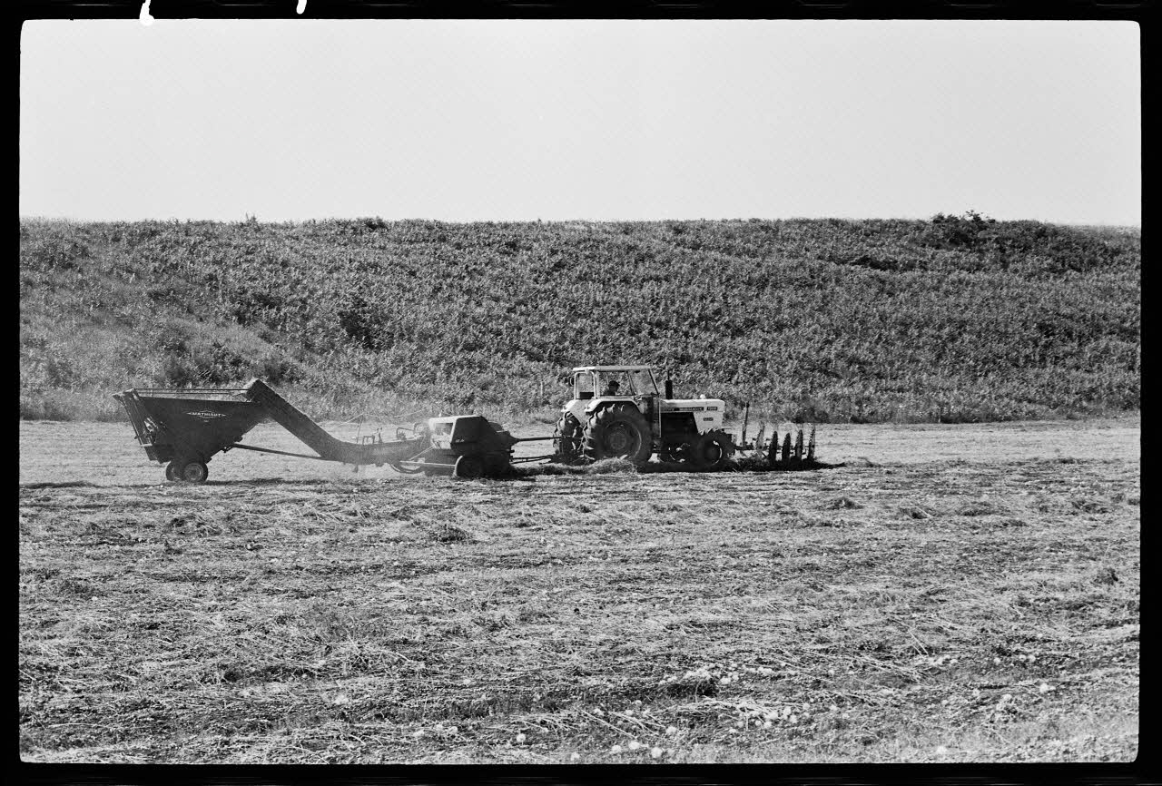 photographie Fenaison avec moissonneuse motorisée à Saint-Jean-le-Froid Ph.1979.45.40 Photo