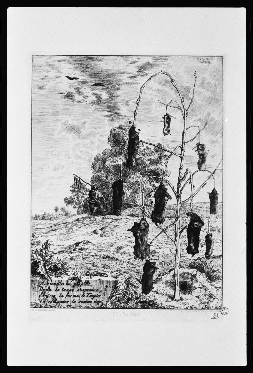 photographie "Le taupier" : taupes suspendues dans la ferme. Cuivre Ph.1979.111.9 Photo