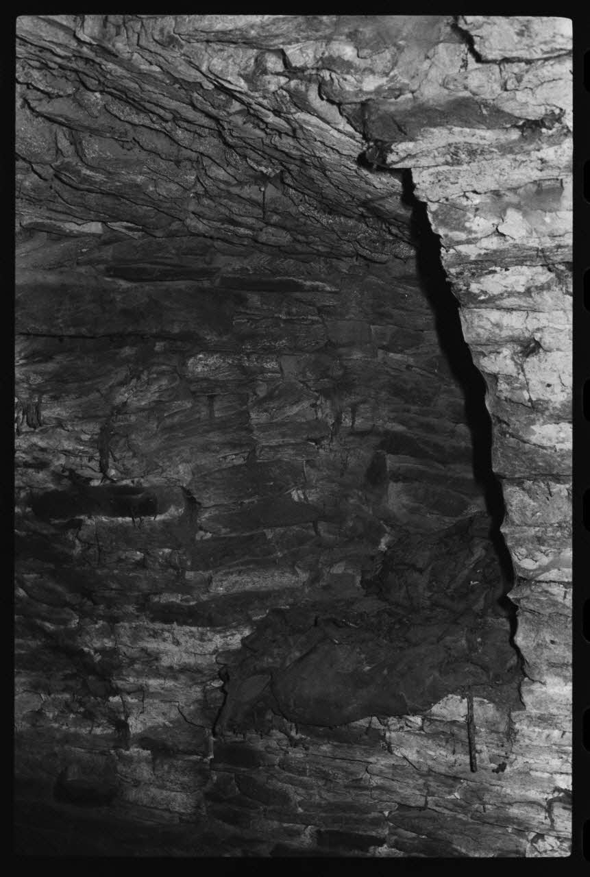 photographie Ouverture en archère Ph.1979.45.460 Photo