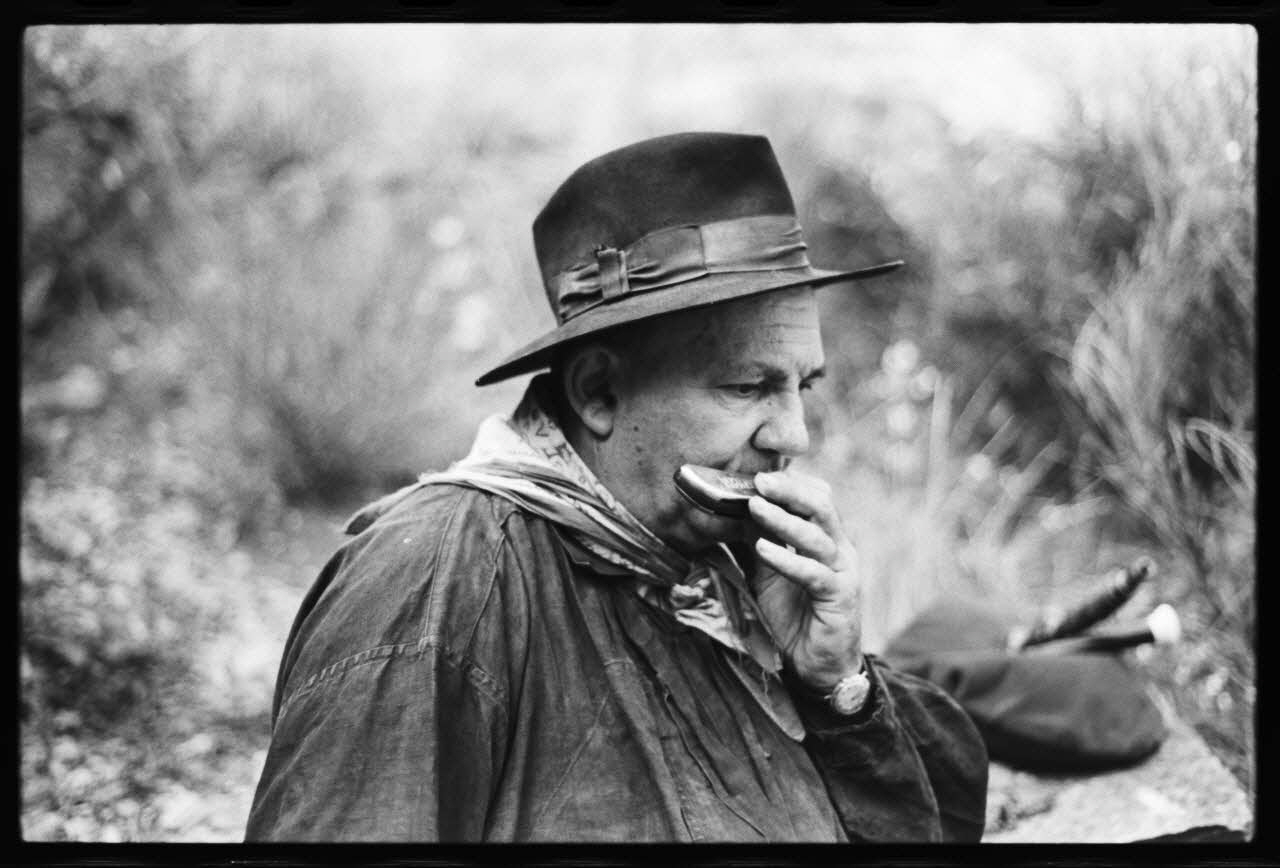 photographie Instrumentiste : harmonica Ph.1979.45.562 Photo