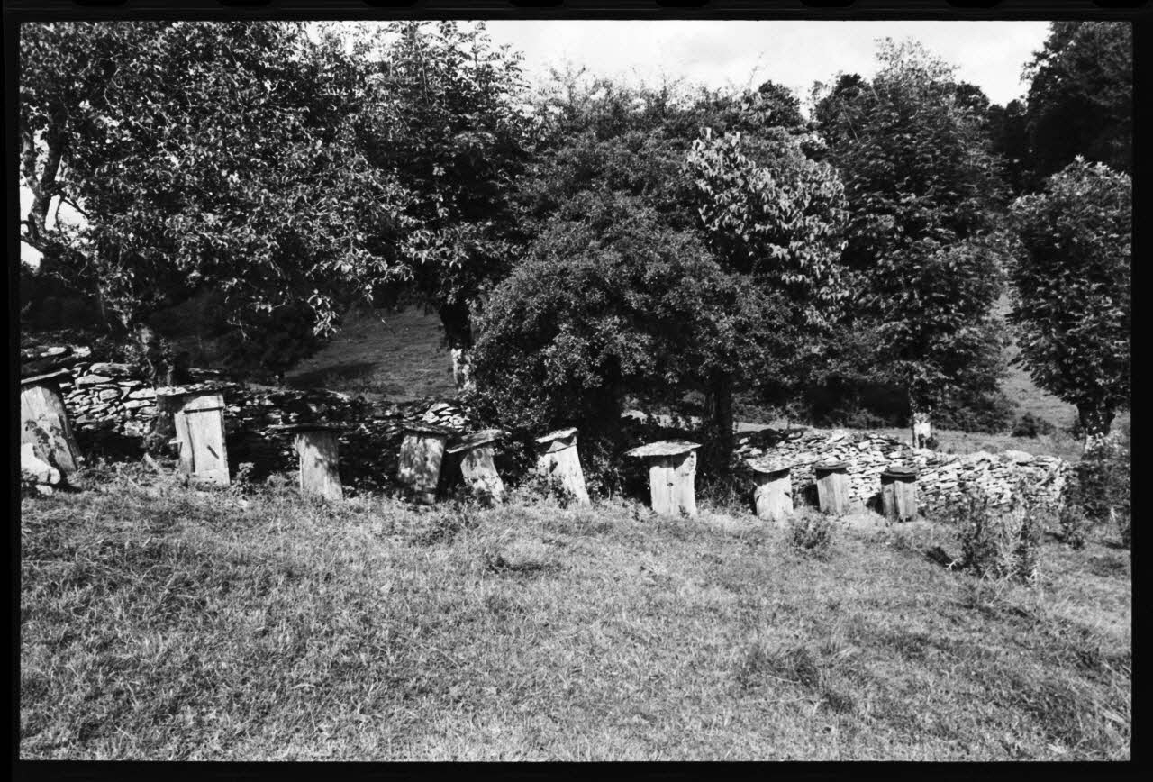 photographie Apiculteur en costume professionnel Ph.1979.45.626 Photo