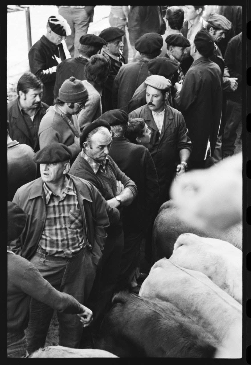 photographie Foire et marché aux bovins Ph.1979.45.736 Photo
