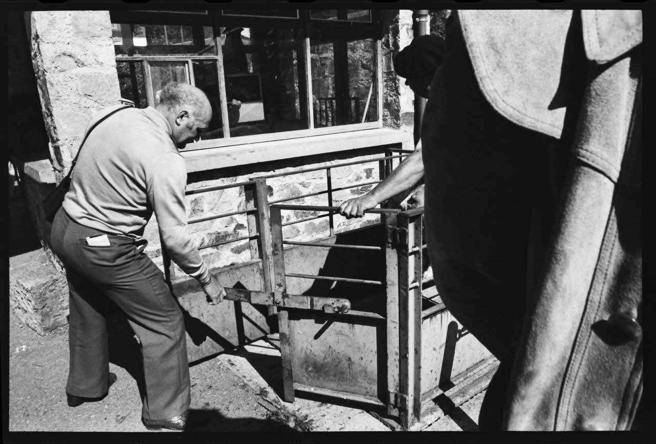 photographie Foire et marché aux bovins Ph.1979.45.740 Photo