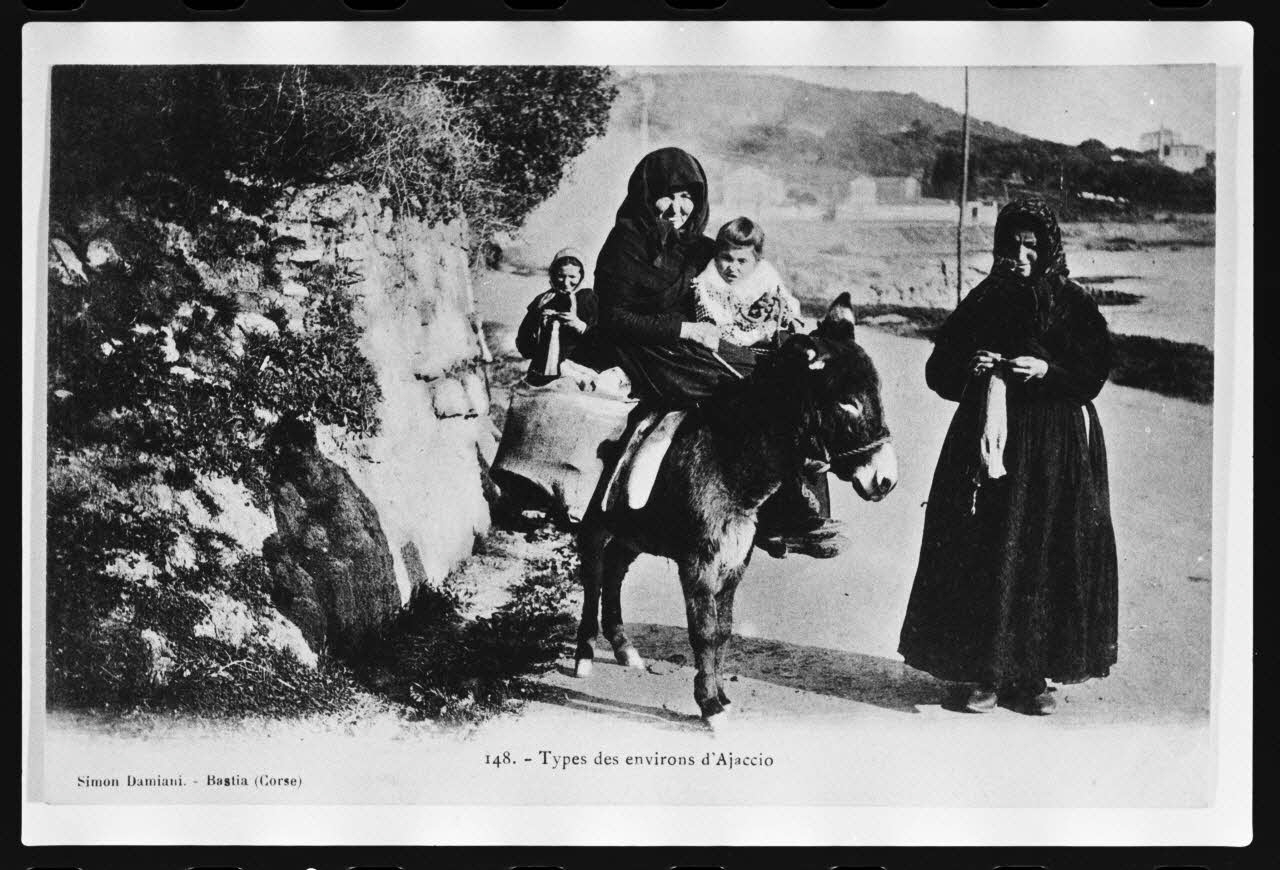 photographie Carte postale. Portage animal par bât (âne) aux environs d'Ajaccio. Tricoteuse Ph.1979.57.13 Photo