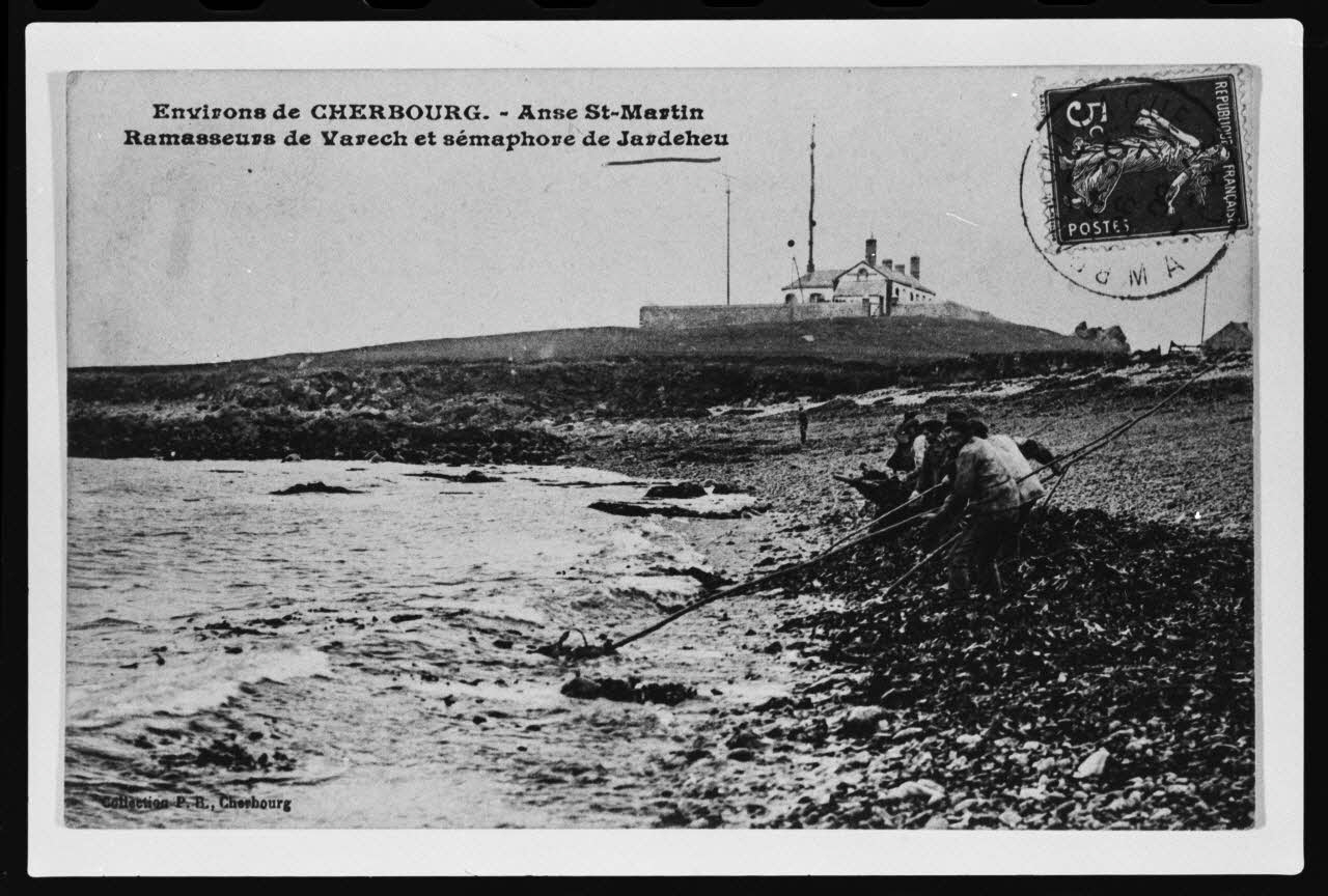 photographie Carte postale. Récolte du goémon Ph.1979.68.13 Photo