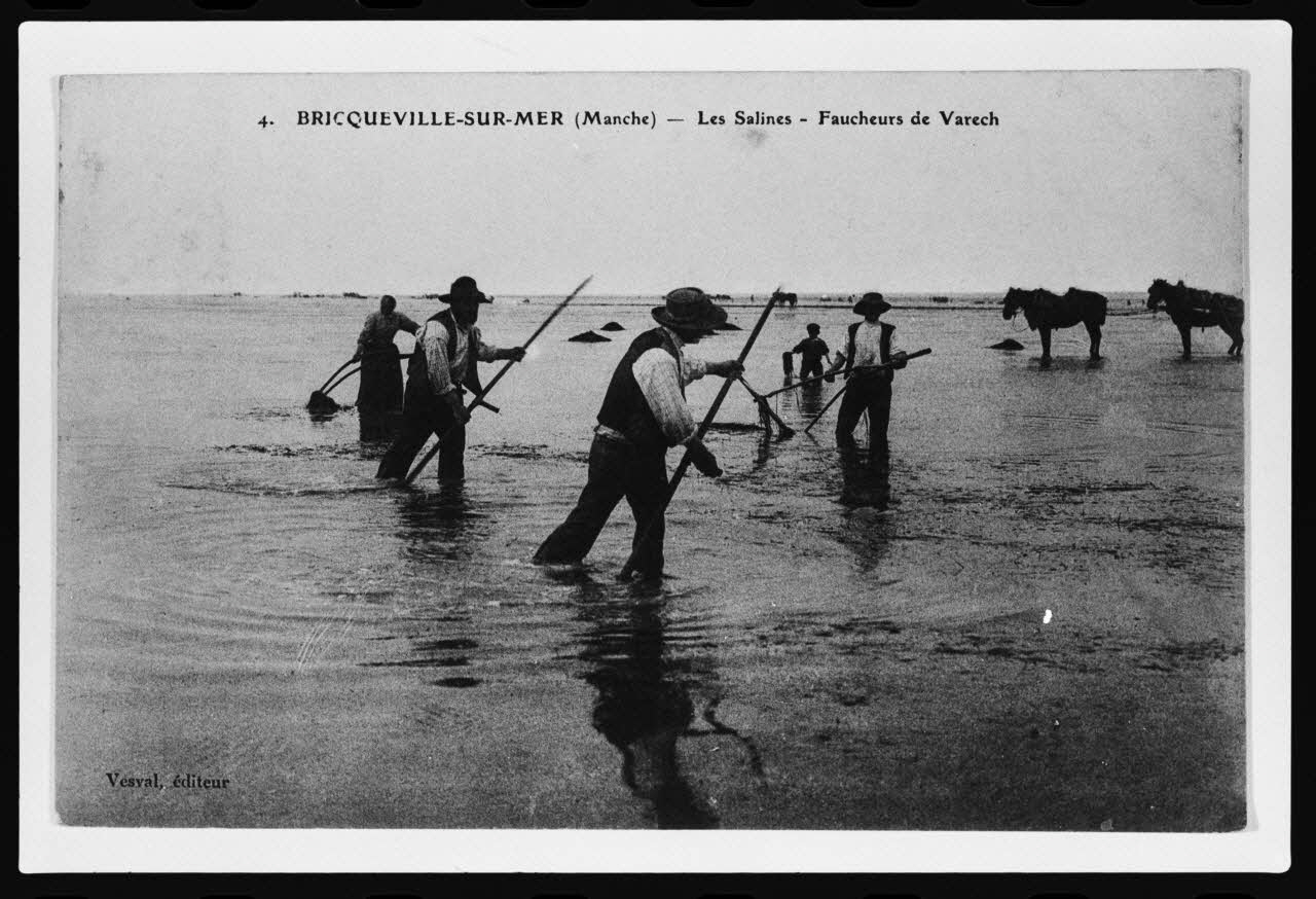 photographie Carte postale. La récolte du goémon : faucheurs de varech Ph.1979.68.16 Photo