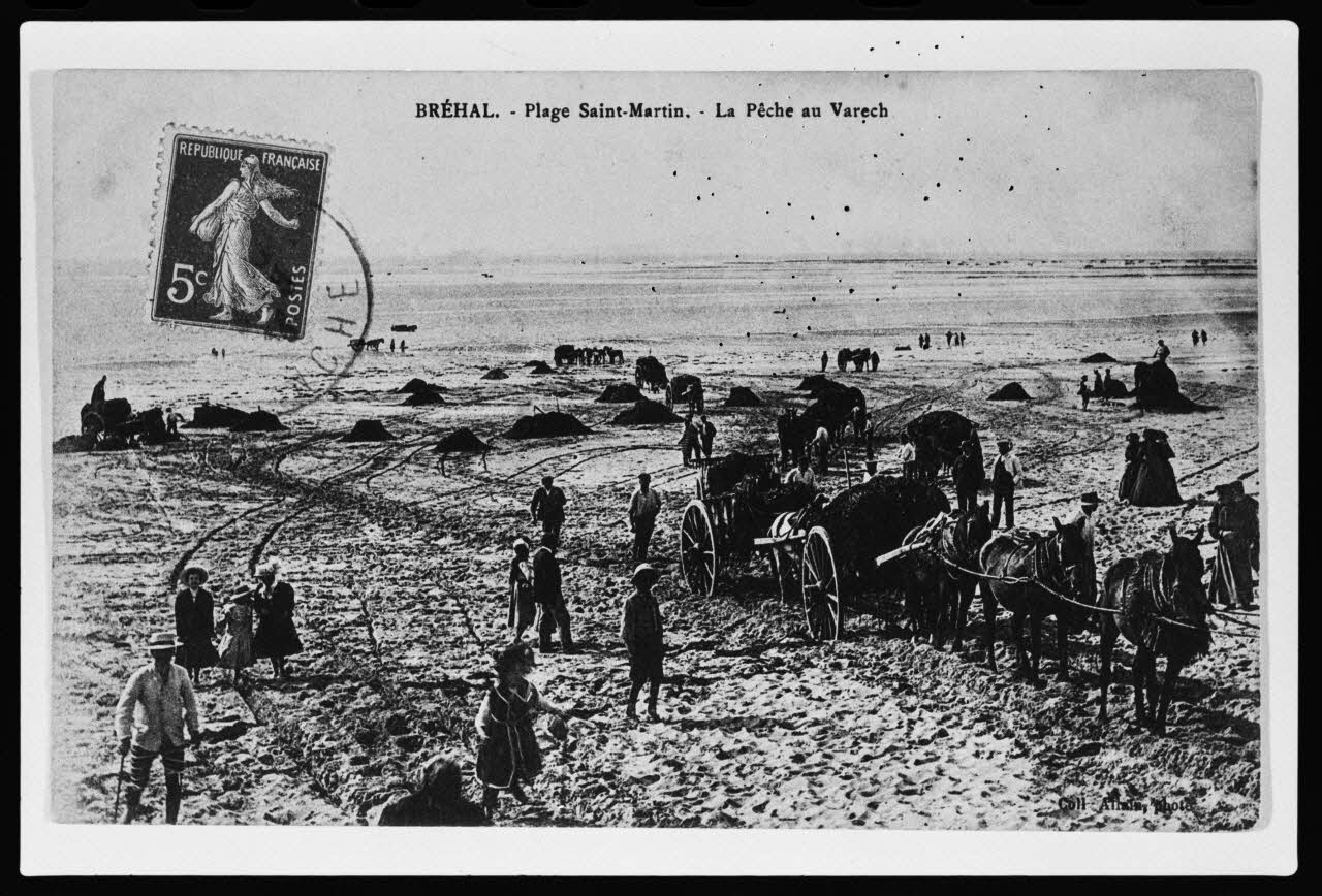 photographie Carte postale. La récolte du goémon Ph.1979.68.17 Photo