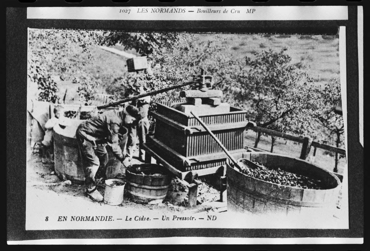 photographie Carte postale. Pressoir à pomme Ph.1979.84.2 Photo