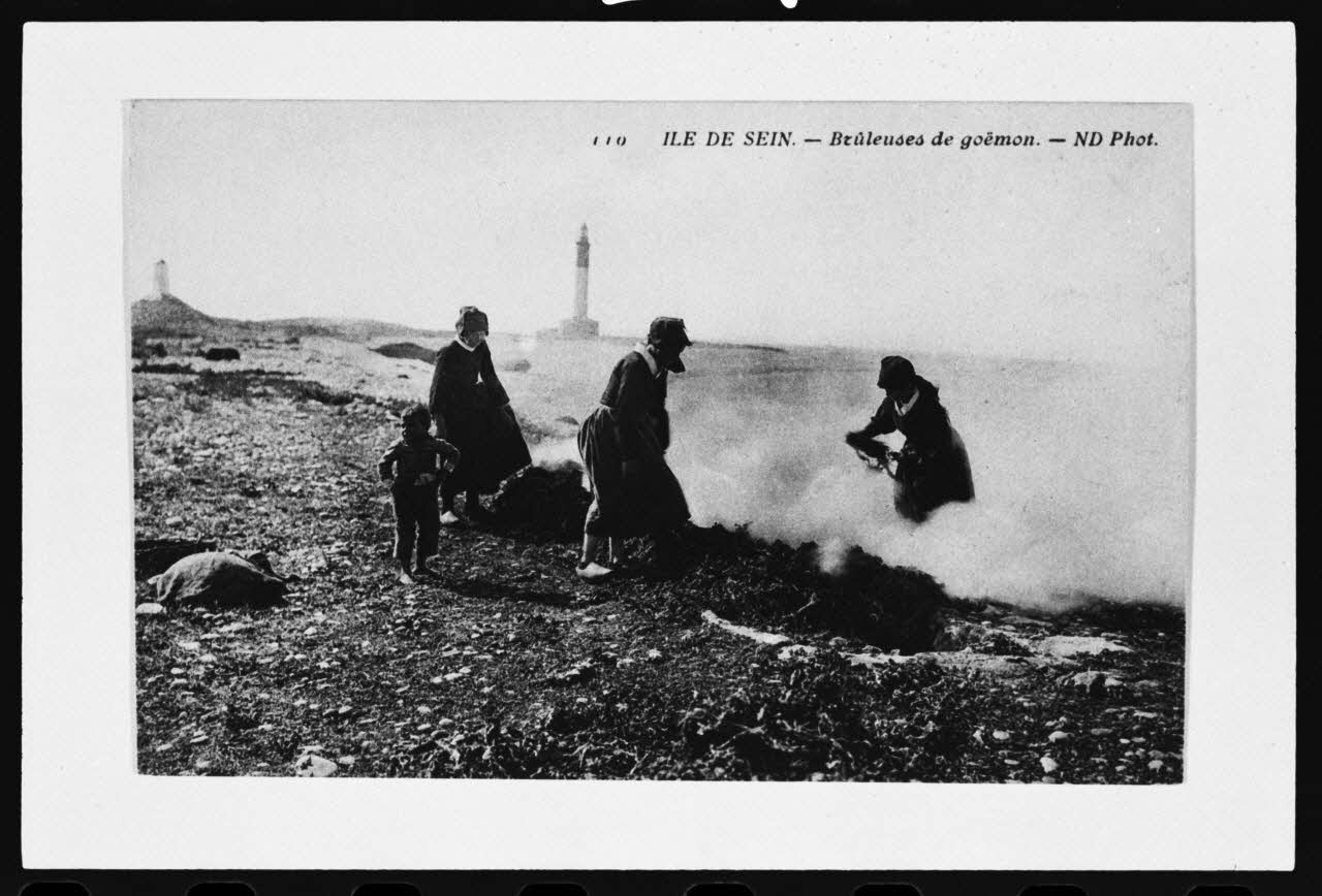 photographie Carte postale. Récolte du goémon : brûleuses de goémon Ph.1979.91.3 Photo