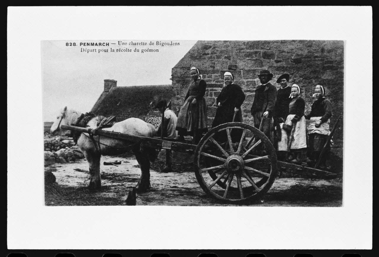photographie Carte postale. Récolte du goémon : une charrette de "bigoudens" Ph.1979.91.5 Photo