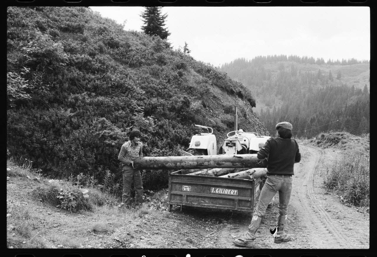 photographie Agriculteurs débardant du bois sur le tracteur Ph.1981.10.119 Photo
