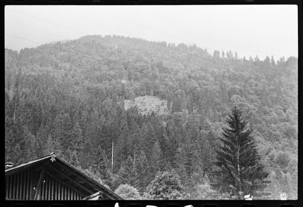 photographie Coupe de bois dans la foret au-dessus de Wallons Ph.1981.10.139 Photo
