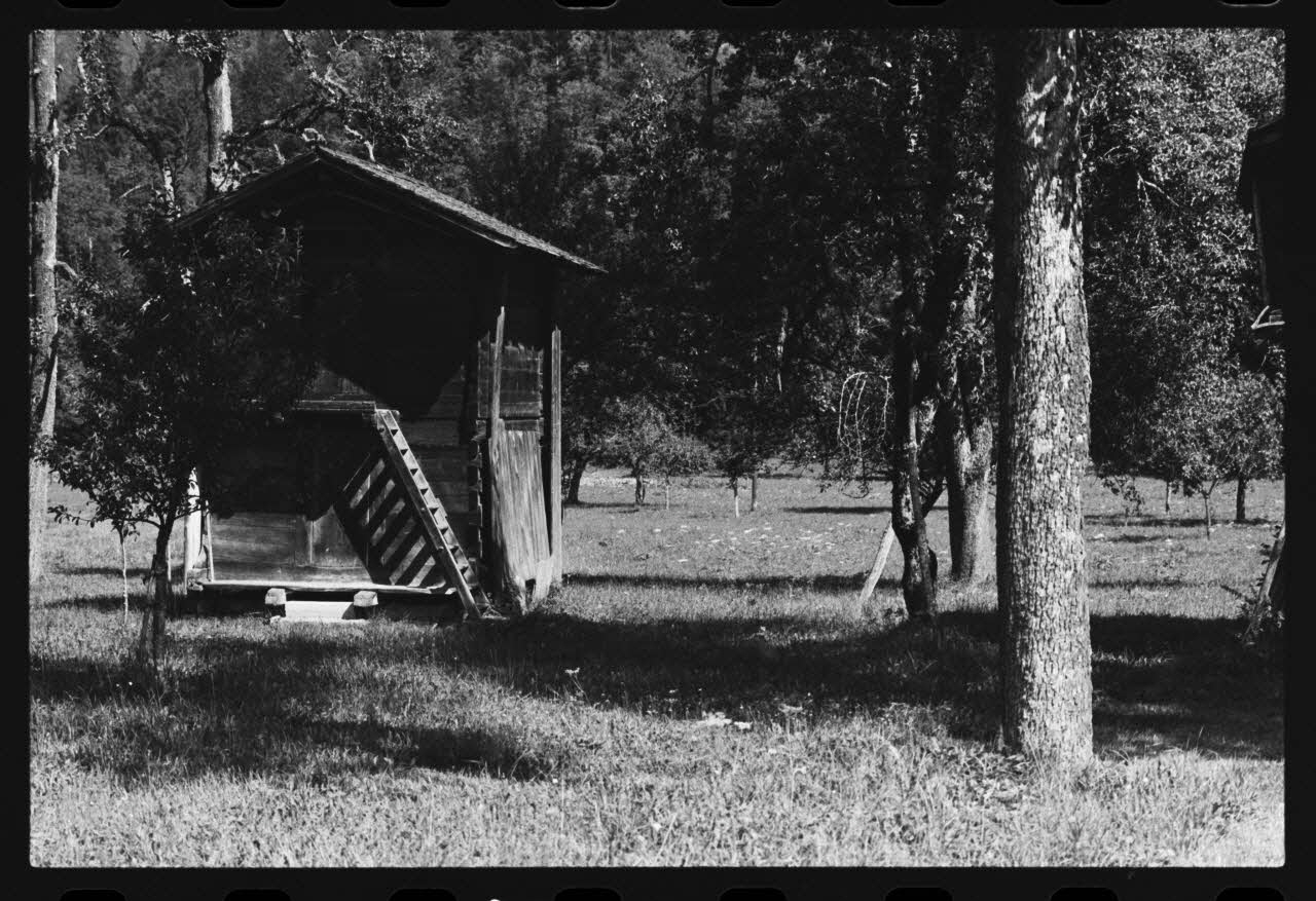 photographie Dépendance du chalet traditionnel. Grenier à grains, cochons, vêtements. Ph.1981.10.50 Photo