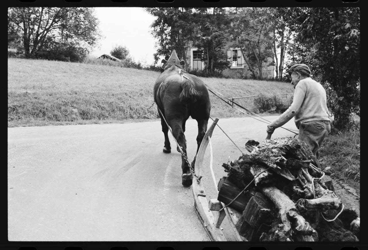 photographie Jument comtoise attelée d un traineau de fabrication artisanale, corvée de bois Ph.1981.10.78 Photo