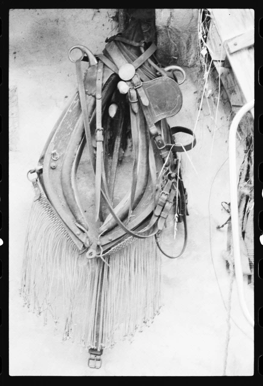 photographie Système de double toit Ph.1981.10.88 Photo