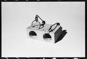 photographie Piège à collet Ph.1981.1.1903  Photo