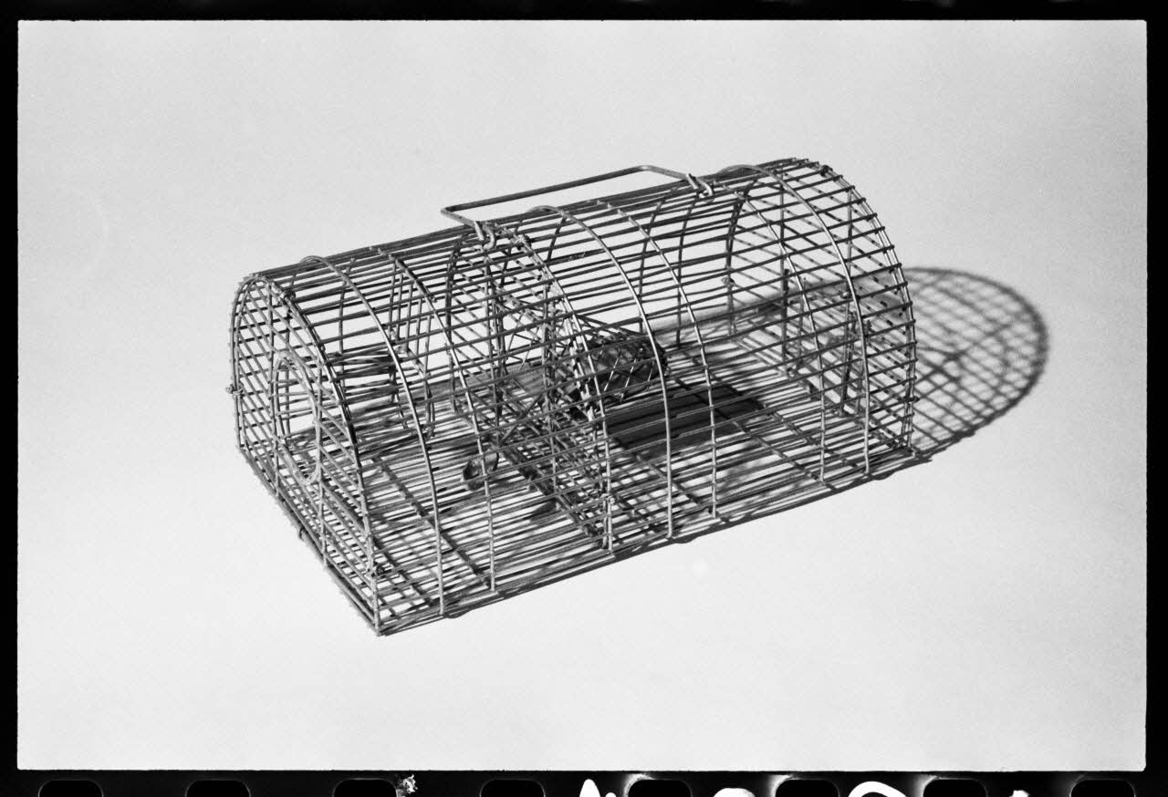 photographie Piège à masse Ph.1981.1.1904 Photo