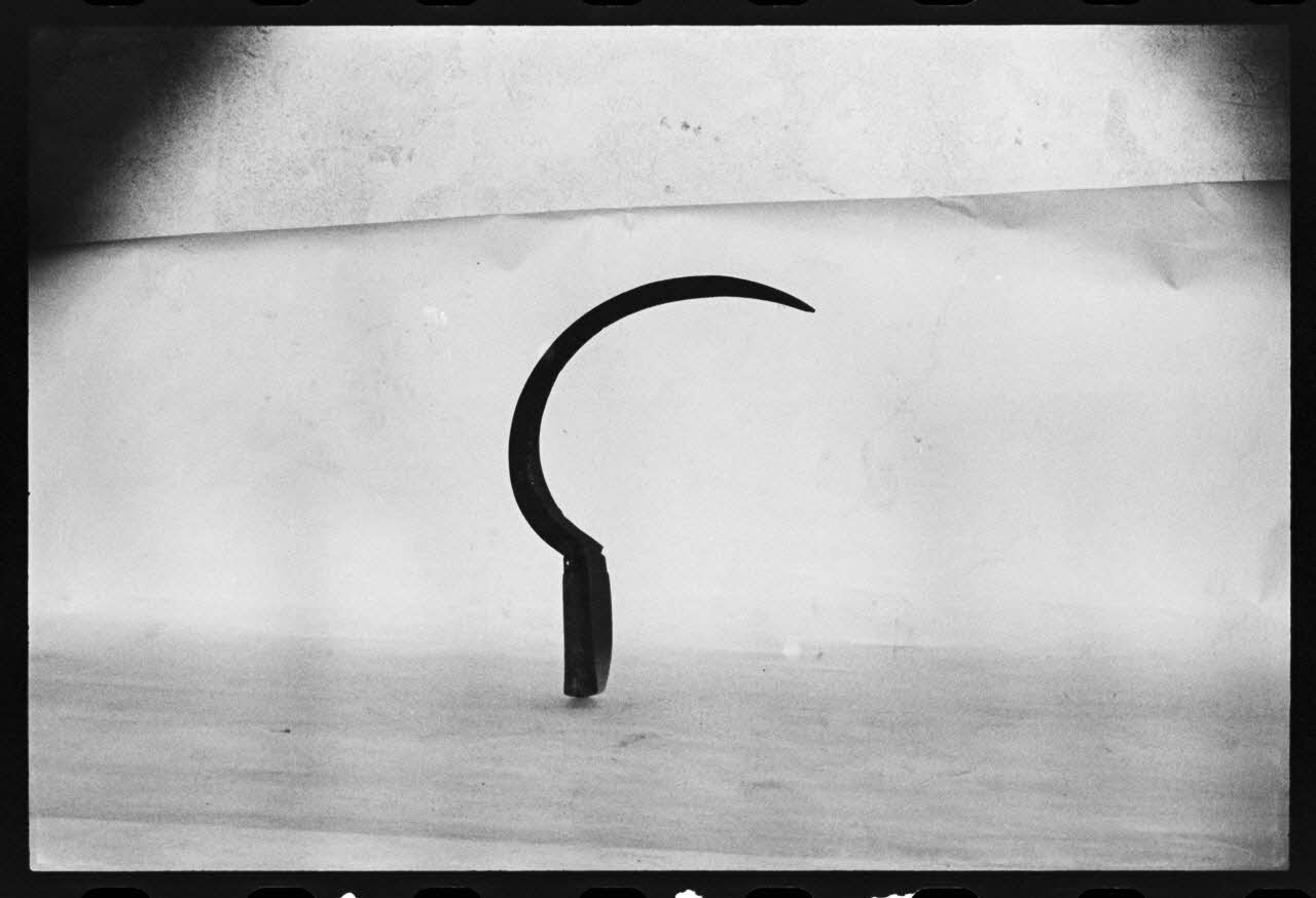 photographie MNATP. Antenne corse. Faucille, "falcina" (nom local) Ph.1981.1.2195 Photo