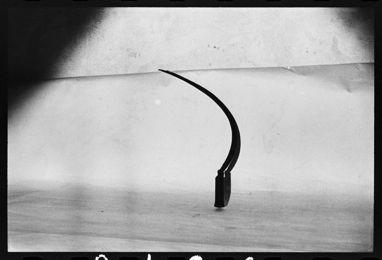 photographie MNATP. Antenne corse. Faucille, "falcina" (nom local) Ph.1981.1.2196 Photo