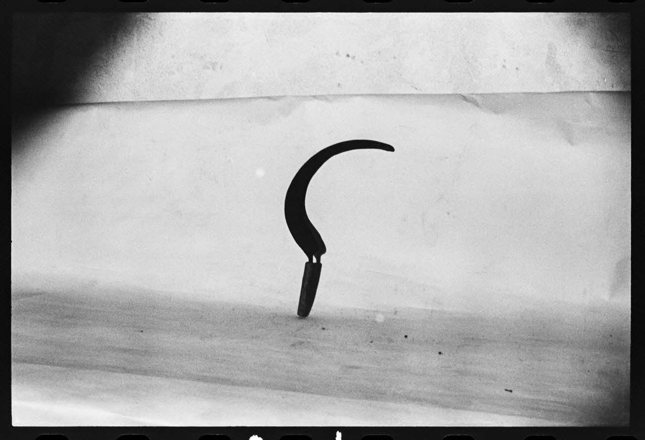 photographie MNATP. Antenne corse. Faucille, "falcina" (nom local) Ph.1981.1.2217 Photo