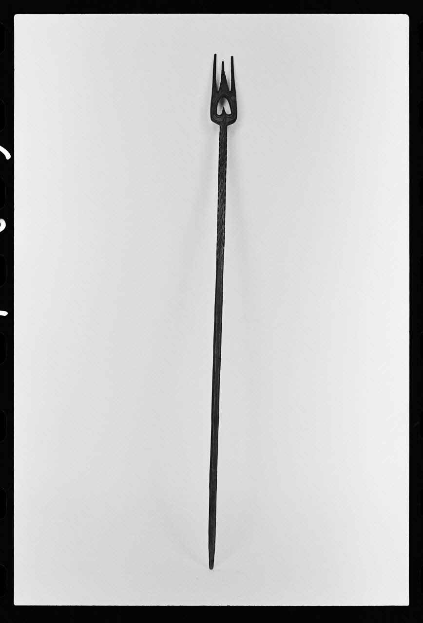 photographie Quenouille Ph.1981.1.671 Photo