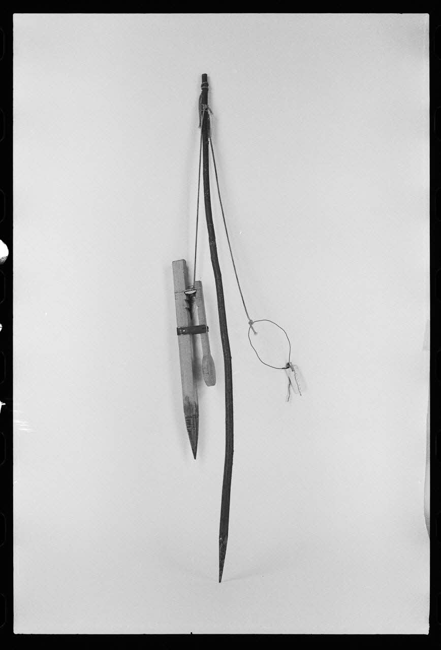 photographie Piège à taupes daté de 1972 Ph.1981.1.973 Photo