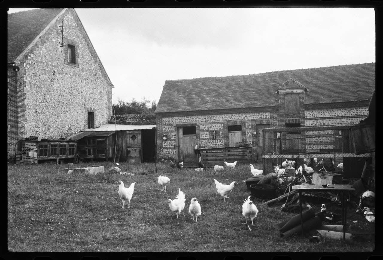 photographie MNATP. Chantier 1425. Enquête sur l'architecture rurale de la France (1968-1990) Ph.1981.302.13 Photo