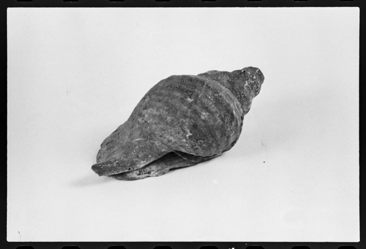 photographie MNATP. Exposition. L'instrument de musique populaire : usages et symboles (28 novembre 1980 - 19 avril 1981) Ph.1981.39.164 Photo