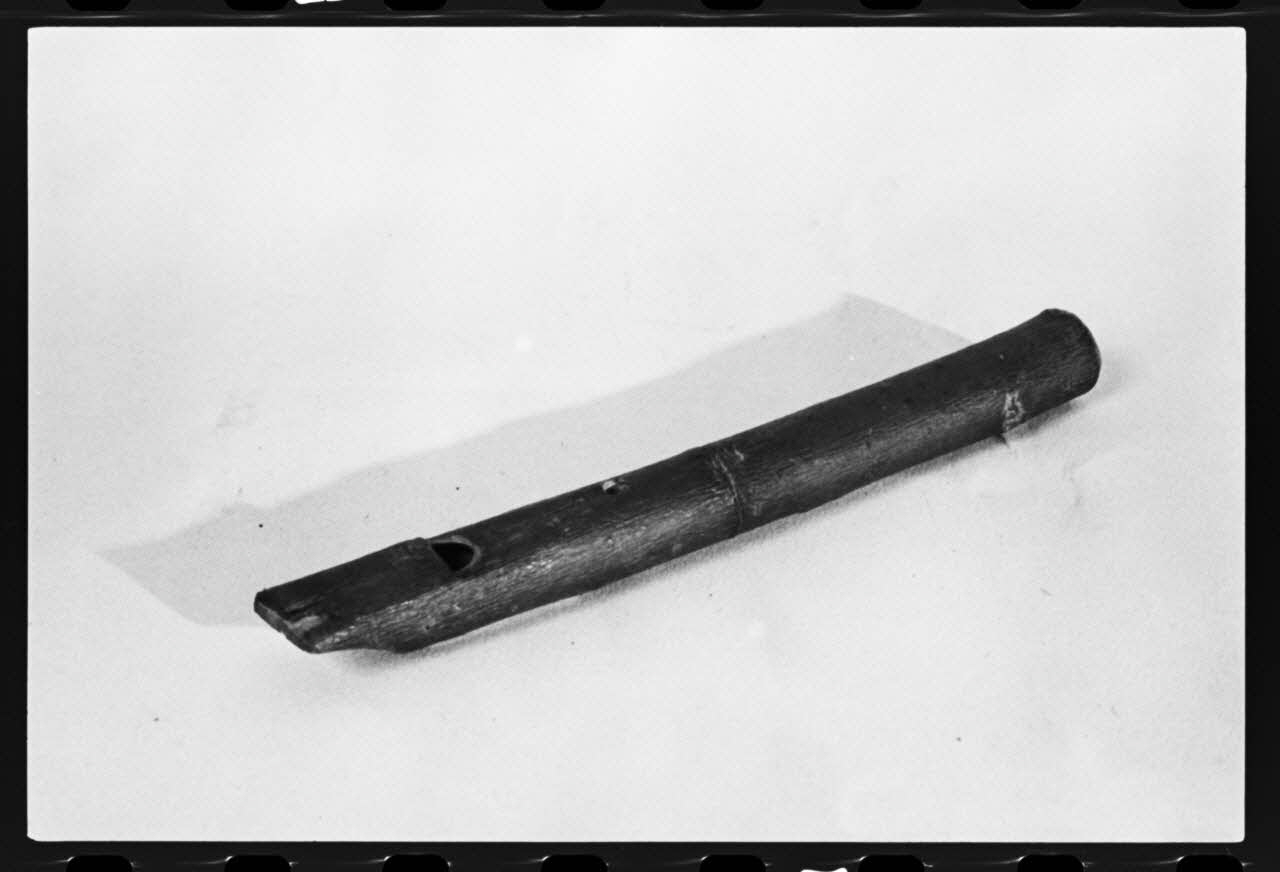 photographie MNATP. Exposition. L'instrument de musique populaire : usages et symboles (28 novembre 1980 - 19 avril 1981) Ph.1981.39.305 Photo