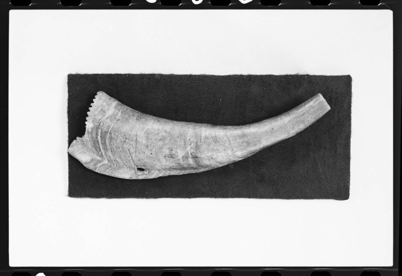 photographie MNATP. Exposition. L'instrument de musique populaire : usages et symboles (28 novembre 1980 - 19 avril 1981) Ph.1981.39.322 Photo