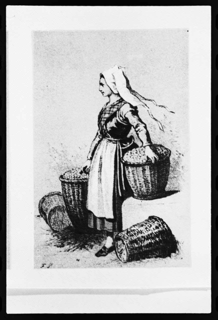 photographie Estampe de Frédéric Sorrieu. Costume de femme et marchand de fruits et légumes en 1865 dans "Découverte du costume breton" de Rossel et Vidal Ph.1981.43.29 Photo