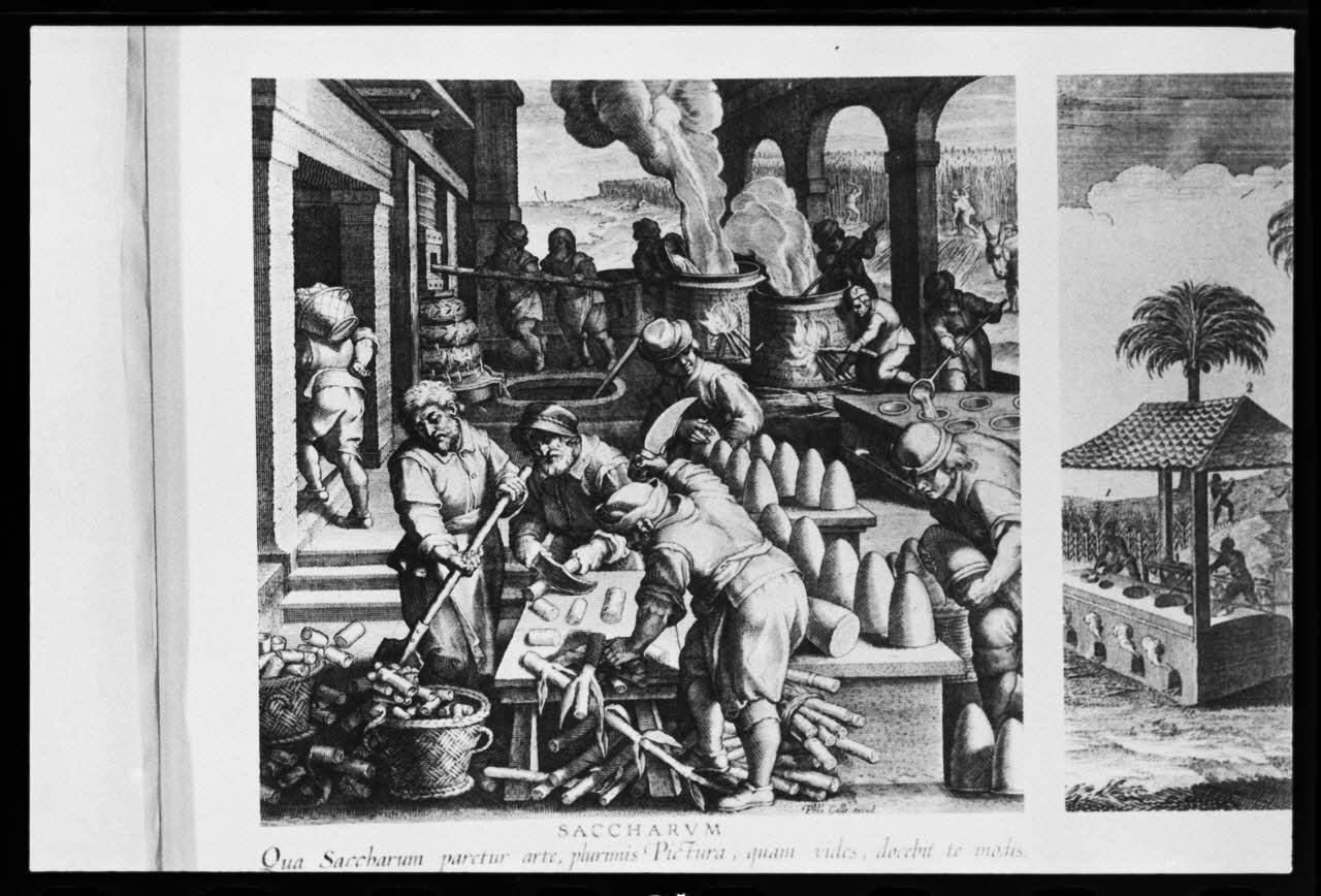 photographie Gravure et estampe savante. Fabrication du sucre. Histoire du sucre. Imagerie d'Epinal. Numéro 3828 dans "Histoire du sucre de betterave" de Fortier et Marotte Ph.1981.50.5 Photo
