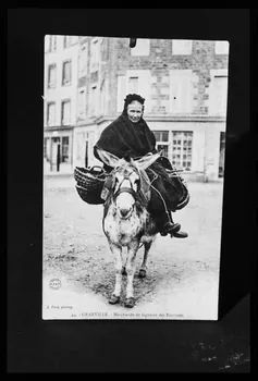 photographie Granville : Musée de Granville Ph.1981.55.247 Photo