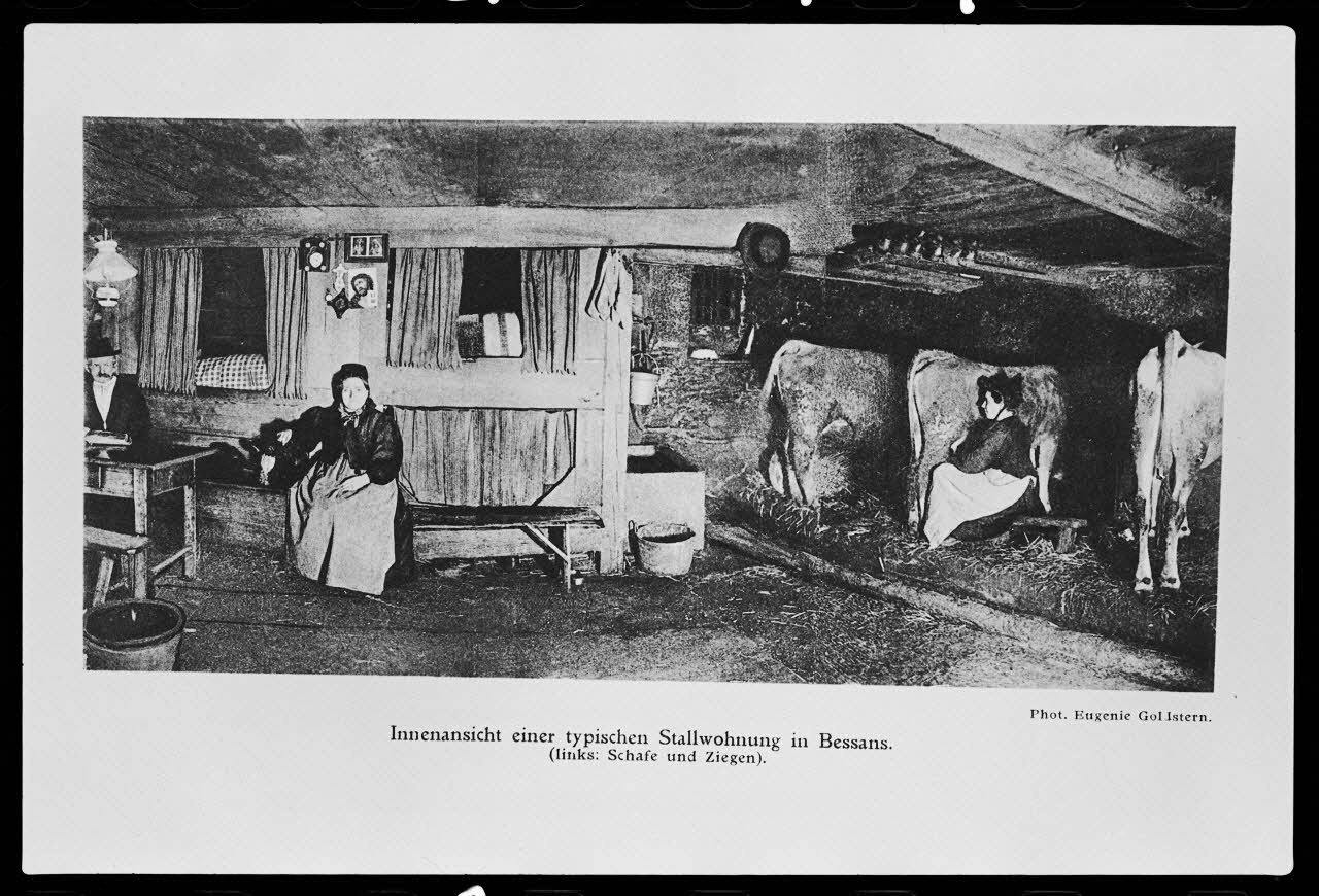 photographie Illustration d'une salle commune-étable dans "Hochgebirgsvolk"...de E. Goldstern-Big Ph.1982.14.3 Photo