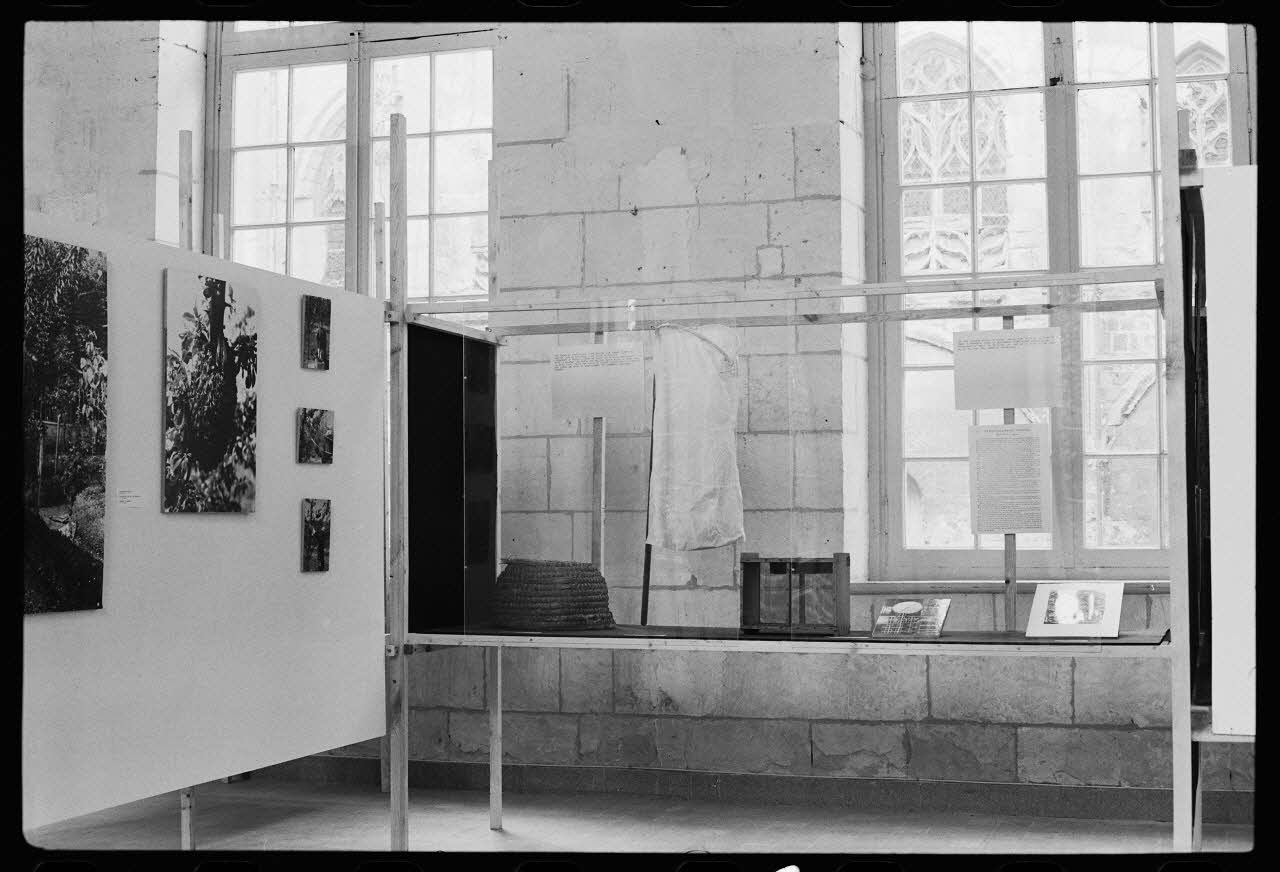 photographie Vitrine sur l'apiculture à Saint-Riquier. Exposition "des fleurs au miel". Photographie par Collomb et Jaoul. 1979 Ph.1982.15.26 Photo