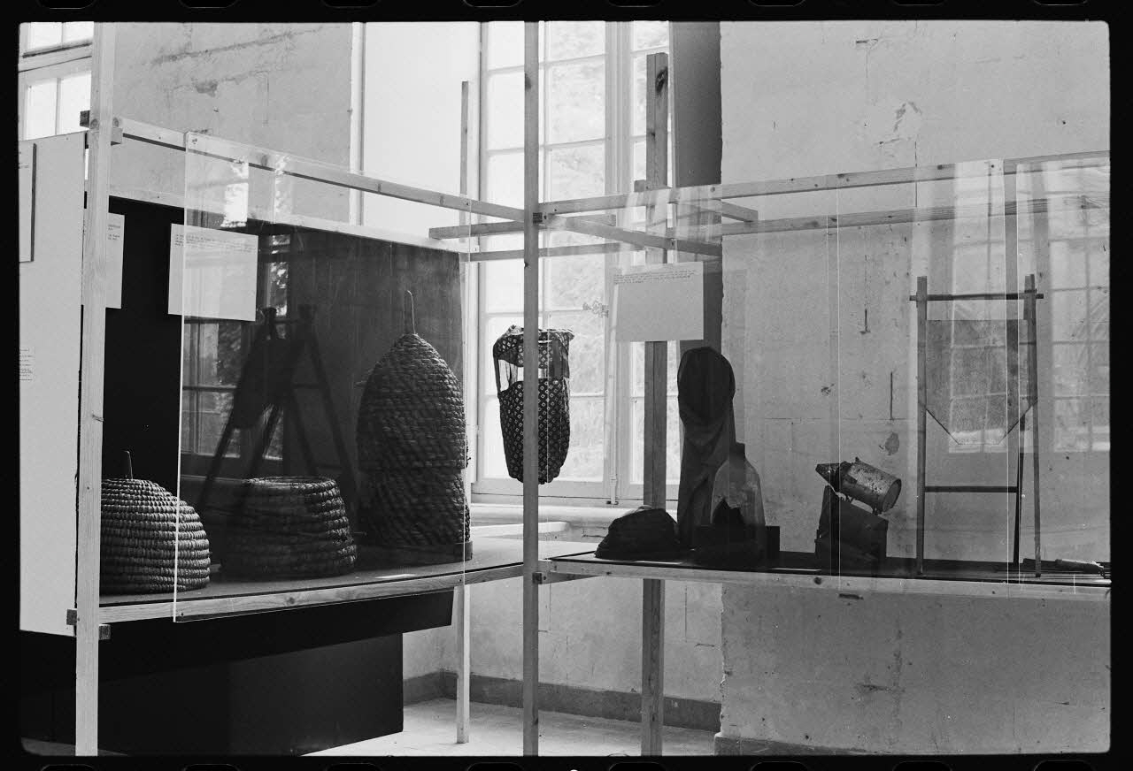 photographie Vitrine sur l'apiculture à Saint-Riquier. Exposition "des fleurs au miel". Photographie par Collomb et Jaoul. 1979 Ph.1982.15.28 Photo