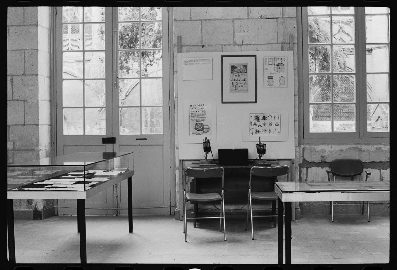 photographie Vitrine sur l'apiculture à Saint-Riquier. Exposition "des fleurs au miel". Photographie par Collomb et Jaoul. 1979 Ph.1982.15.30 Photo