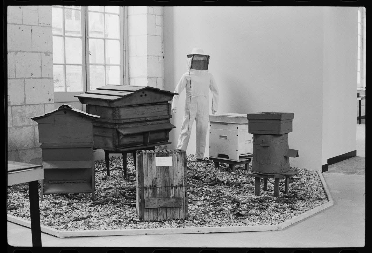 photographie Vitrine sur l'apiculture à Saint-Riquier. Exposition "des fleurs au miel". Photographie par Collomb et Jaoul. 1979 Ph.1982.15.31 Photo