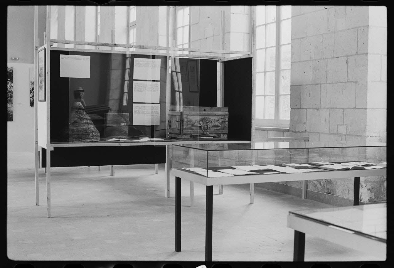 photographie Vitrine sur l'apiculture à Saint-Riquier. Exposition "des fleurs au miel". Photographie par Collomb et Jaoul. 1979 Ph.1982.15.35 Photo
