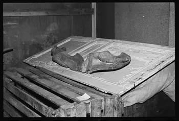 photographie Joug de cornes. Dépôt au musée de Saint-Flour Ph.1982.1.543 Photo