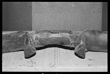 photographie Joug de cornes. Dépôt au musée de Saint-Flour Ph.1982.1.544 Photo