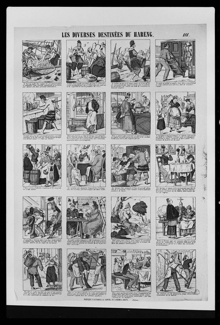 photographie "Les diverses destinées du hareng". Estampe. Lithographie couleur. Maison Gangel Didion à Metz Ph.1982.2.116 Photo