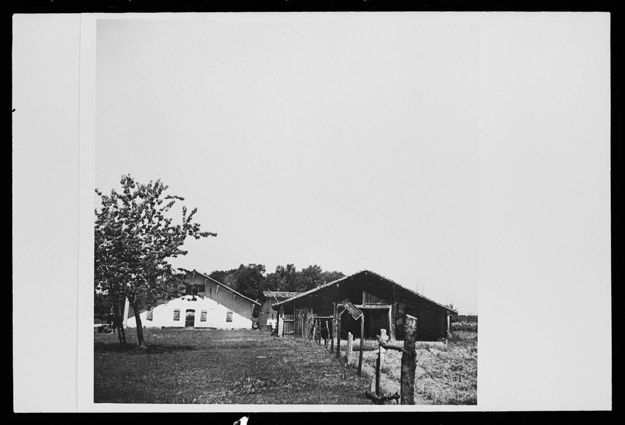 Pierre Toulgouat photographie Pierre Toulgouat (1901-1992) : les Landes (1939-1982) Aquitaine, France 1982 Ph.1982.304.10 Photo
