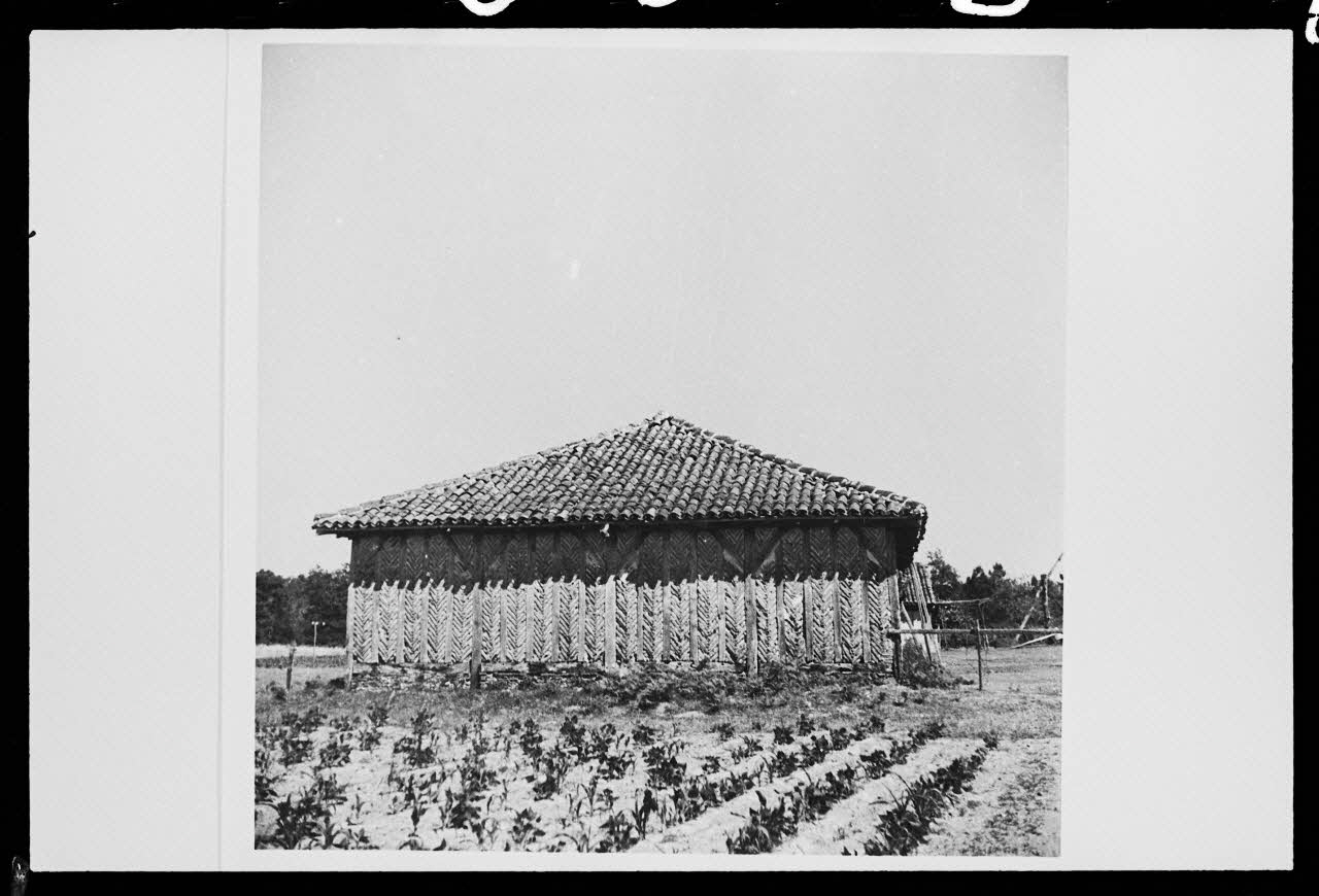 Pierre Toulgouat photographie Pierre Toulgouat (1901-1992) : les Landes (1939-1982) Aquitaine, France 1982 Ph.1982.304.18 Photo