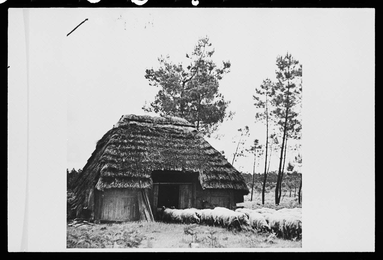 Pierre Toulgouat photographie Pierre Toulgouat (1901-1992) : les Landes (1939-1982) Aquitaine, France 1982 Ph.1982.304.24 Photo