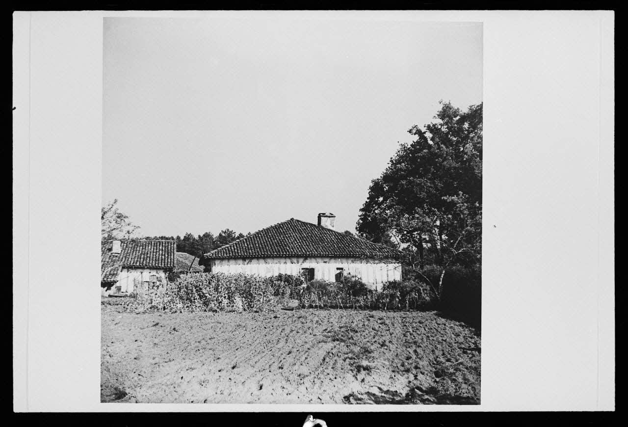 Pierre Toulgouat photographie Pierre Toulgouat (1901-1992) : les Landes (1939-1982) Aquitaine, France 1982 Ph.1982.304.9 Photo